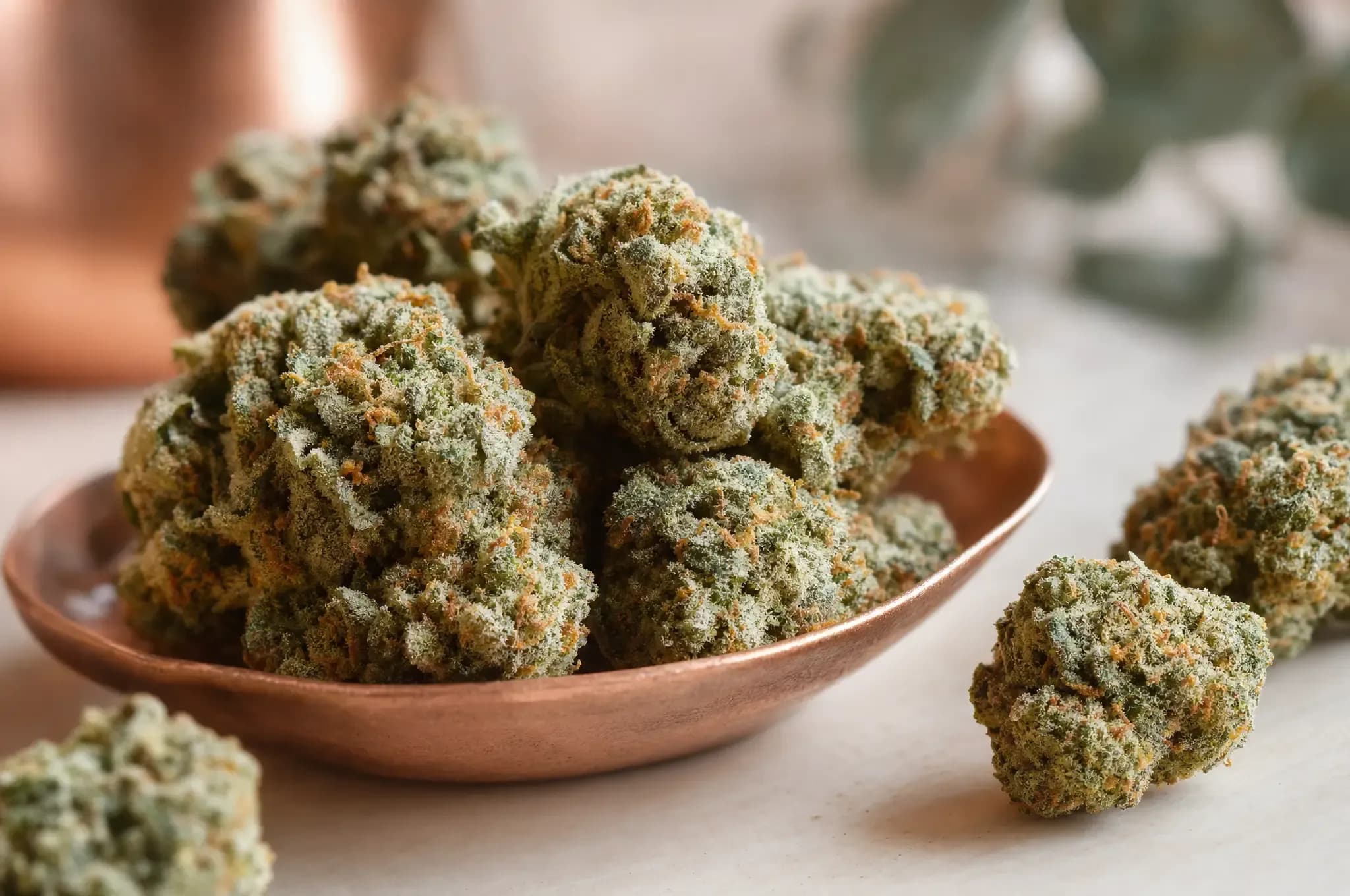 Schimmel oder Trichome? So erkennst du die Qualität deiner Cannabisblüten